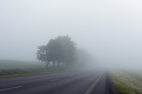 водители, дороги, туман, осень