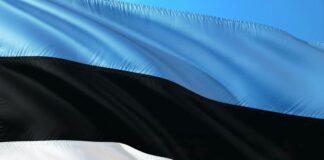 День независимости Эстонии, ограничения, праздник