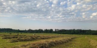 сельское хозяйство Эстонии, пищевое производство, кризис