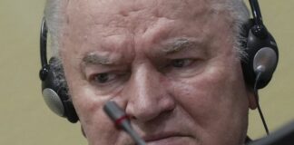 Ратко Младич, приговор, апелляция, Сребреница