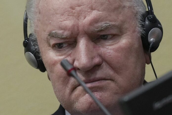 Ратко Младич, приговор, апелляция, Сребреница